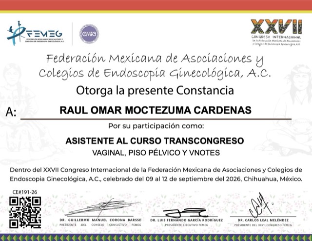 Curso Transcongreso Vaginal, Piso Pélvico y vNOTES, FEMEG