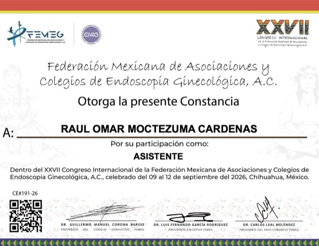 XXVII Congreso Internacional de Endoscopia Ginecológica, FEMEG